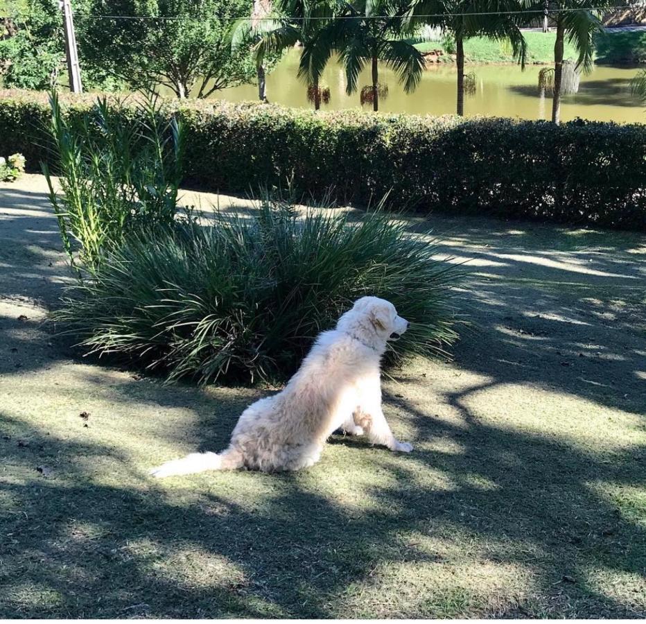 Casa Na Serra Villa Teresopolis Luaran gambar